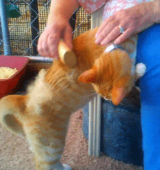 The ORIGINAL by SleekEZ® (Small) Grooming Tool